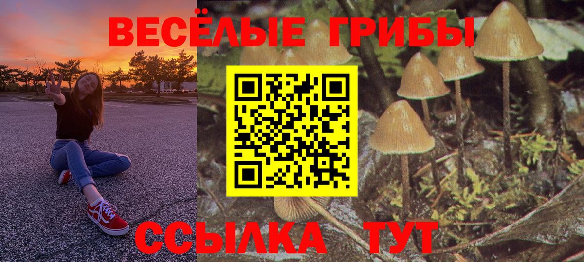 Галлюциногенные грибы мухоморы  Вход с VPN  Верхняя Пышма  Галлюциногенные грибы GOLDEN TEACHER 