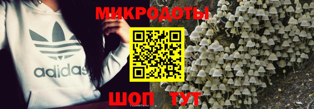 Галлюциногенные грибы ЛСД Верхняя Пышма